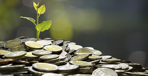 Câmara vota hoje a MP da Liberdade Econômica