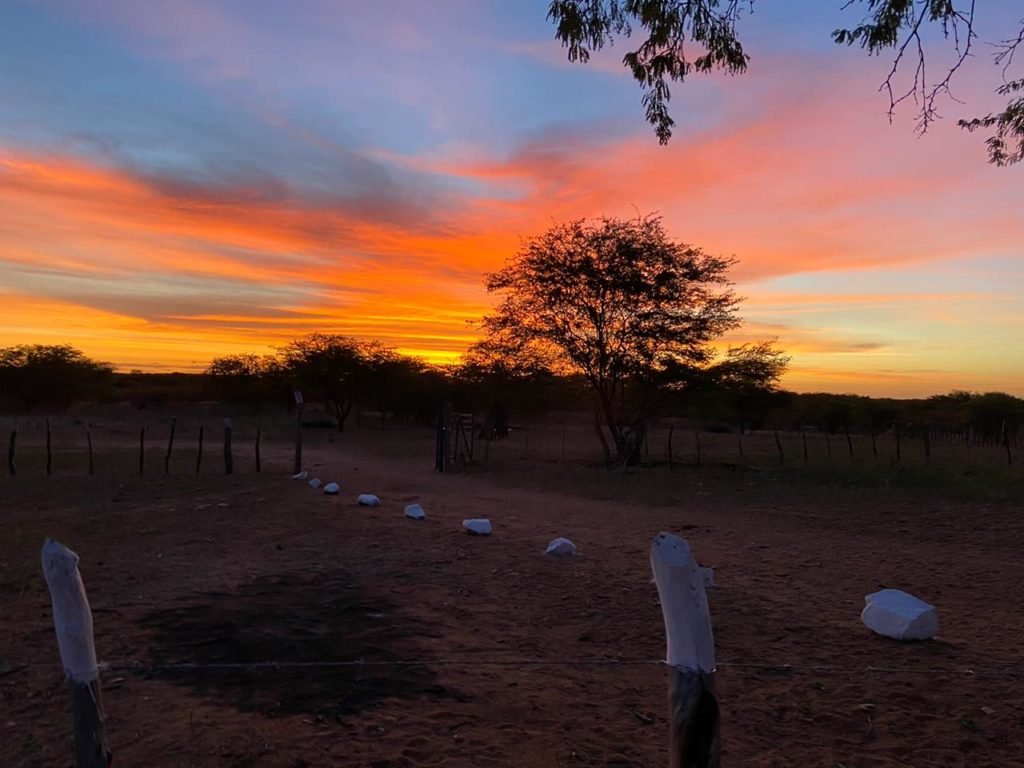 O por do sol no sertão do Guaporé