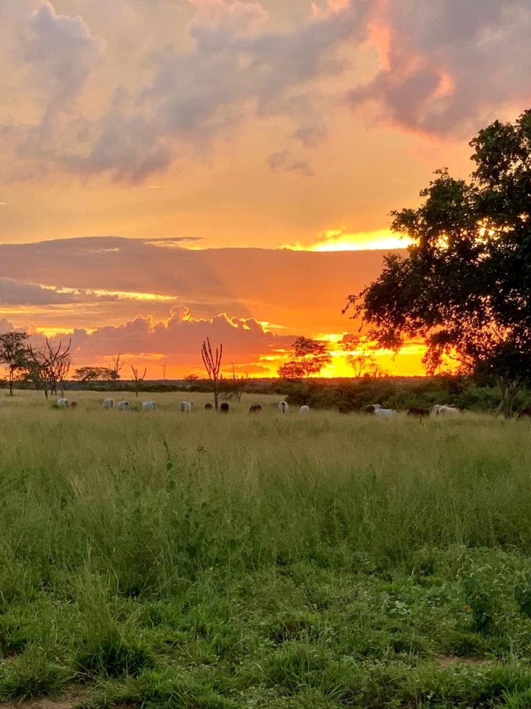 Fotos do por do sol no sertão do Seridó