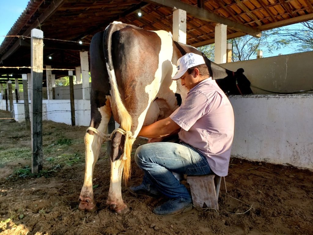 Governo reorganiza o Programa do Leite em Mossoró