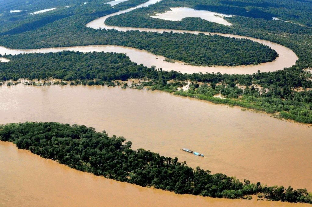 Brasil tem potencial para ser líder mundial da bioeconomia