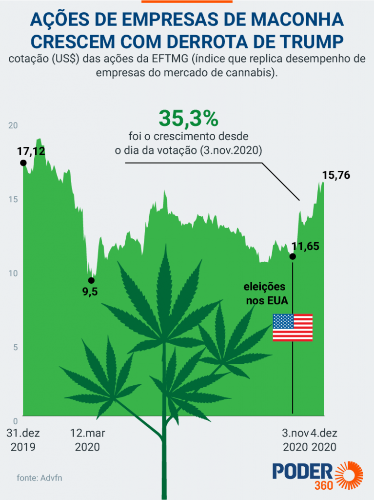 Ações de empresas de cannabis crescem 35,5% depois das eleições nos EUA