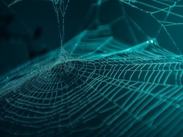 A internet como a conhecemos pode estar acabando