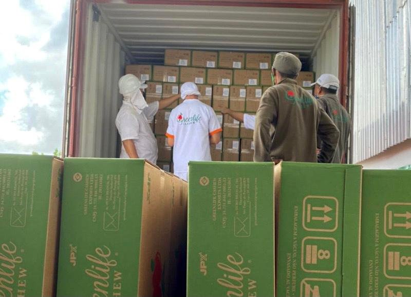 Com apoio do Proedi, empresa potiguar inicia exportações de castanhas de caju