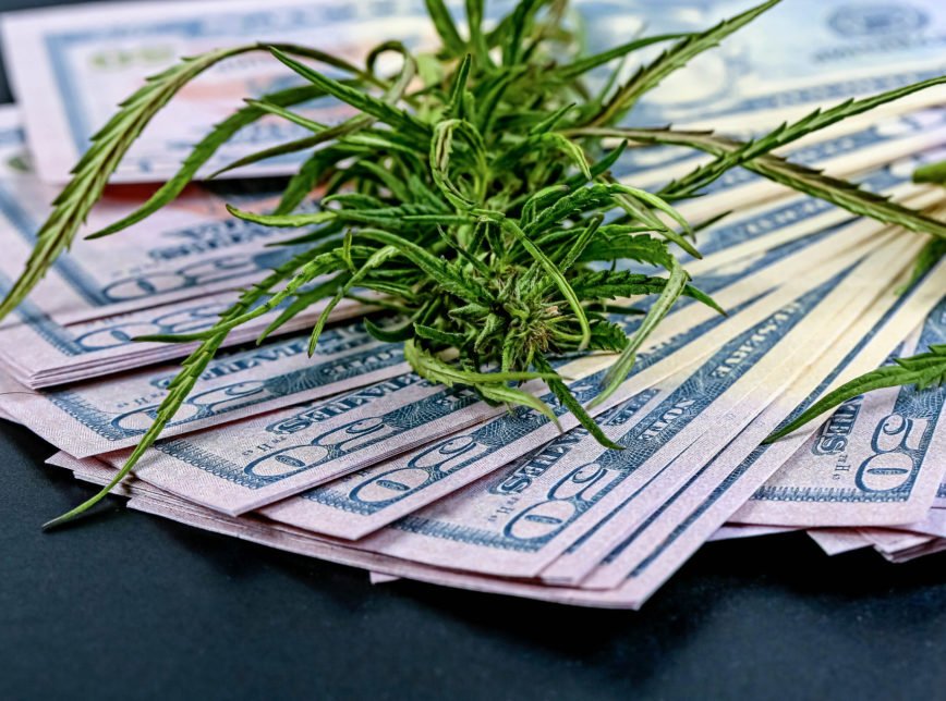 Mercado da maconha deve movimentar US$ 1,2 bilhão em Nova York em 2023