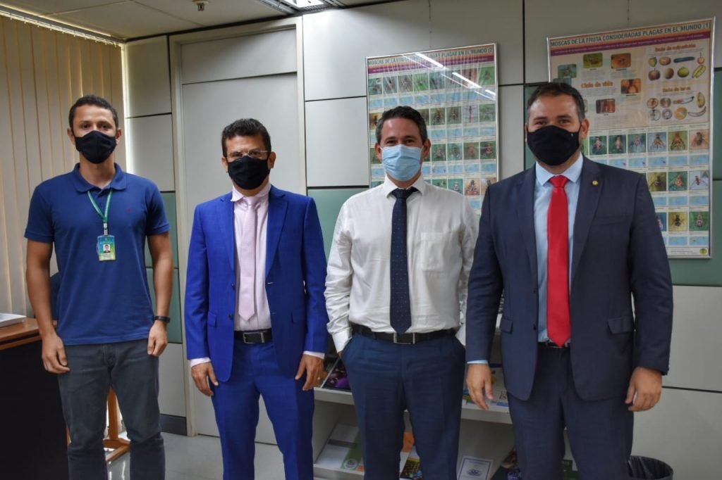 Ministério da Agricultura inclui novos municípios do RN em área livre da mosca-das-frutas