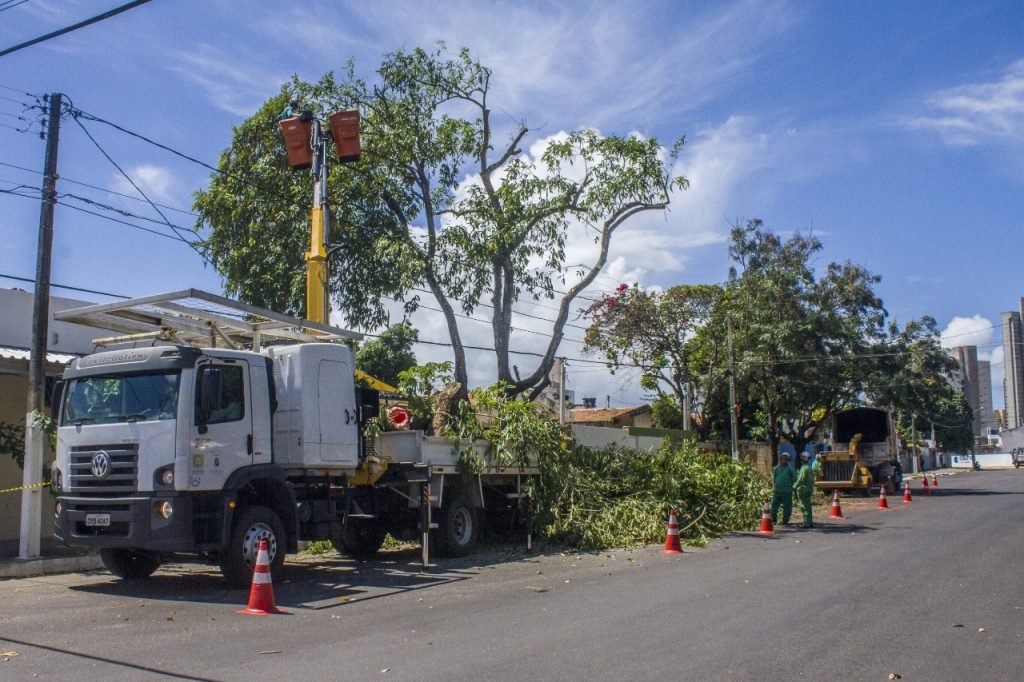 Prefeitura avalia risco de queda de árvores durante período chuvoso