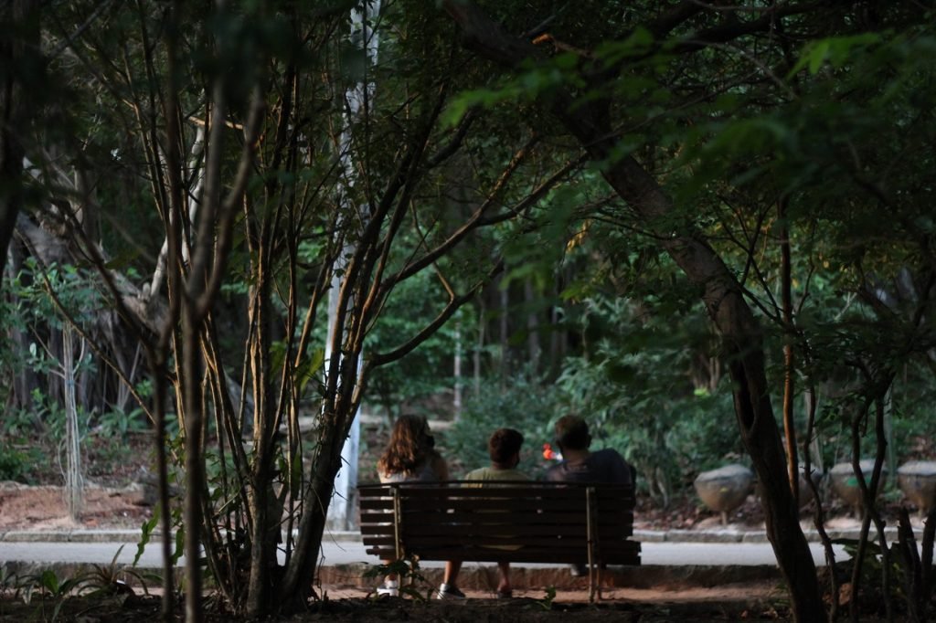 Idema e Jornada no Bosque lançam concurso de fotografia