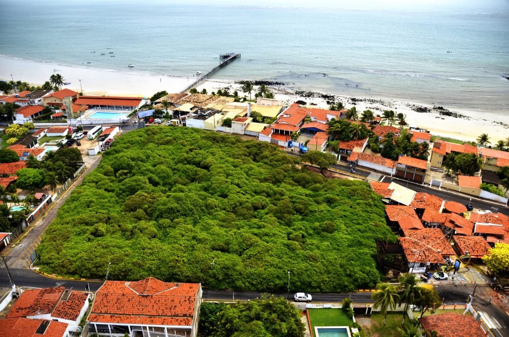 Cajueiro de Pirangi promove atividades durante a Semana Estadual do Meio Ambiente