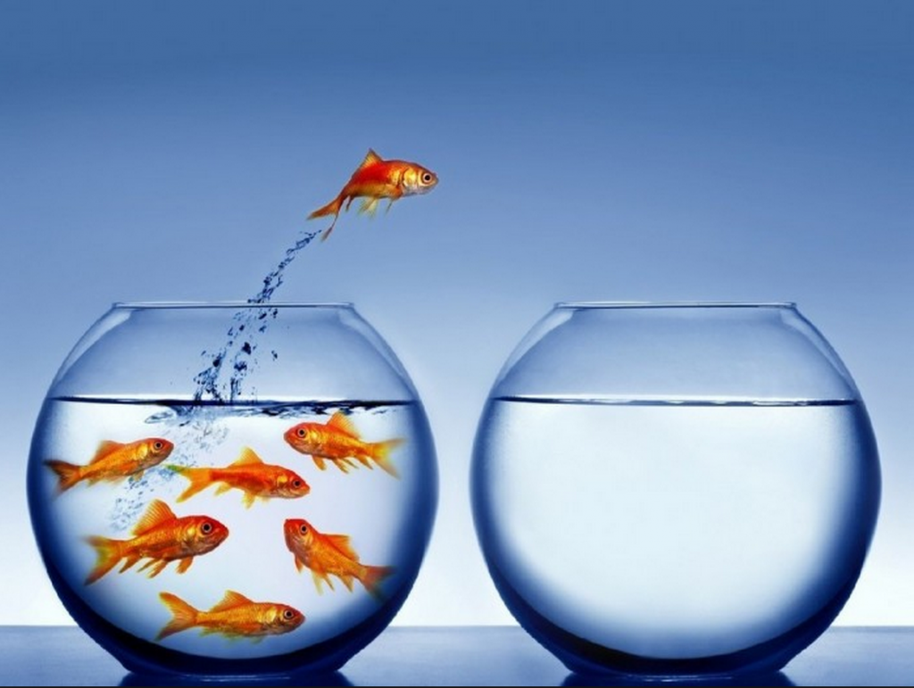 Mais de 80% dos brasileiros considerou mudar de carreira no último ano