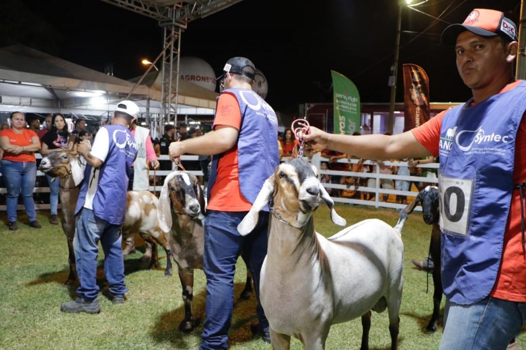 Feira do Bode movimenta economia e fortalece caprinocultura do RN
