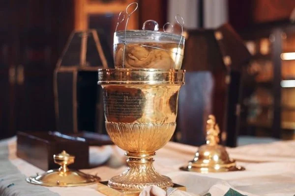 O que leva alguém sair de casa pra ver o coração de Dom Pedro I?