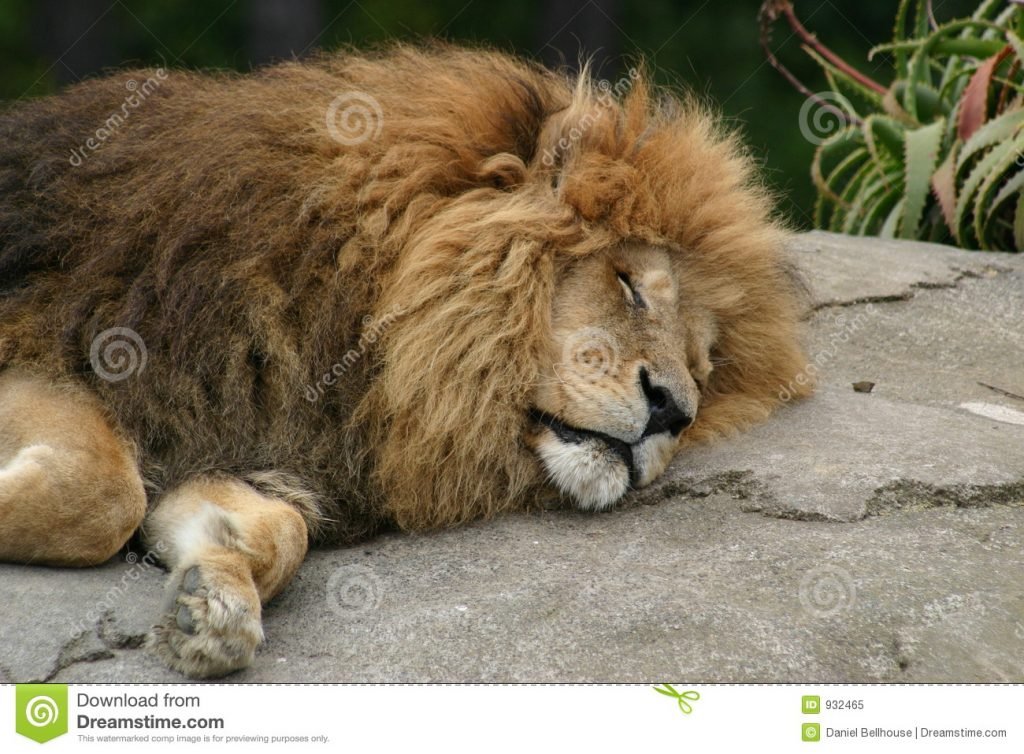 Dívidas com a Receita? Começa negociação com desconto de até 70%