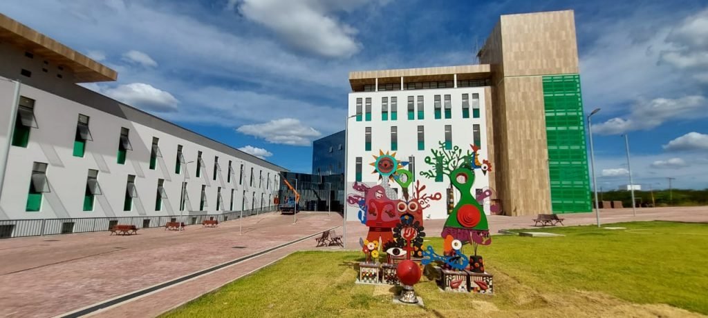 Hospital da Mulher tem instalação de artista visual de Mossoró