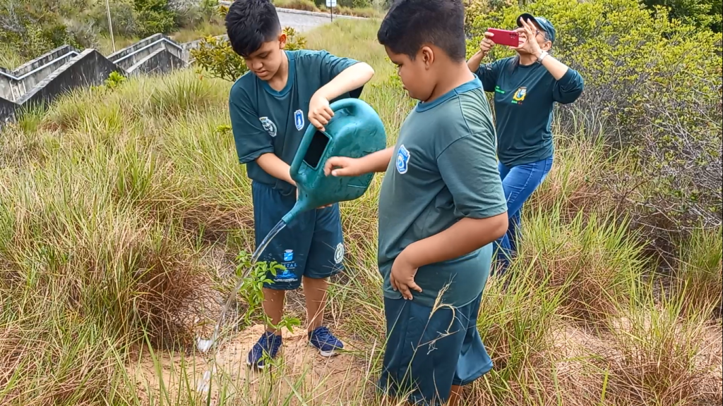 Ação de plantio de mudas nativas no Parque da Cidade celebra o dia da árvore