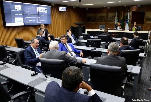 Vereadores aprovam projeto que reconhece Natal como cidade Pet Friendly