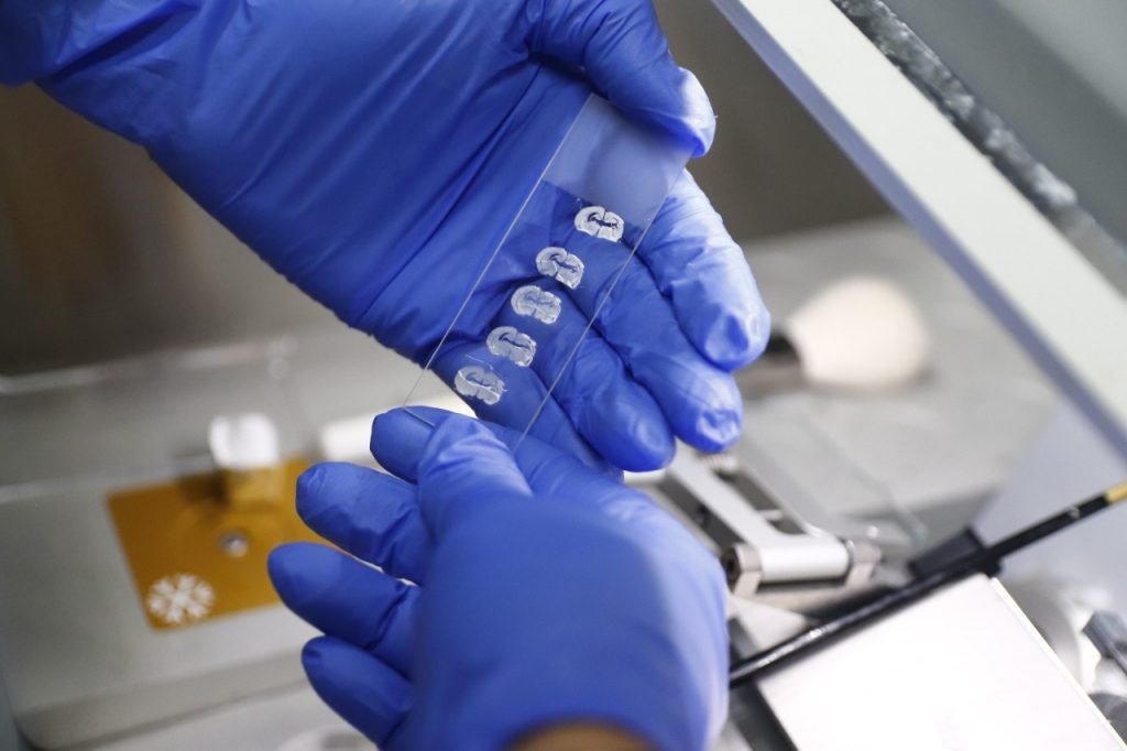 Anvisa autoriza cultivo de cannabis para pesquisa na UFRN