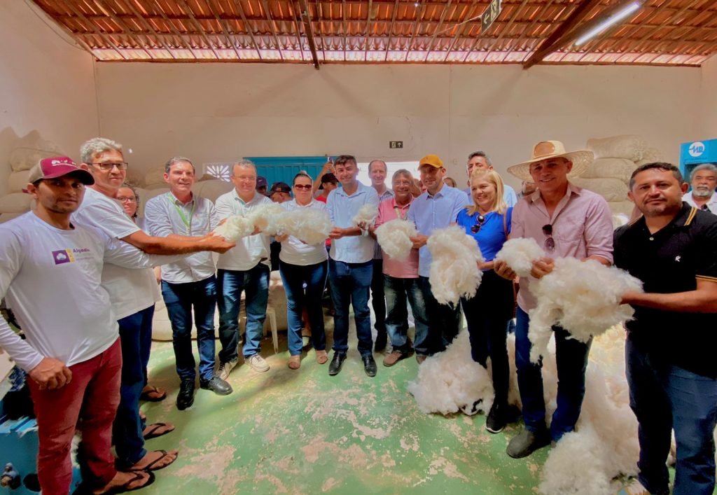 Algodão: Governo do RN mobiliza famílias agricultoras para a safra 2023