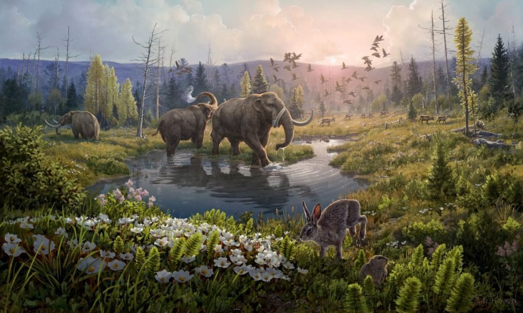 DNA mais antigo já identificado revela mundo perdido da Groenlândia há 2 milhões de anos