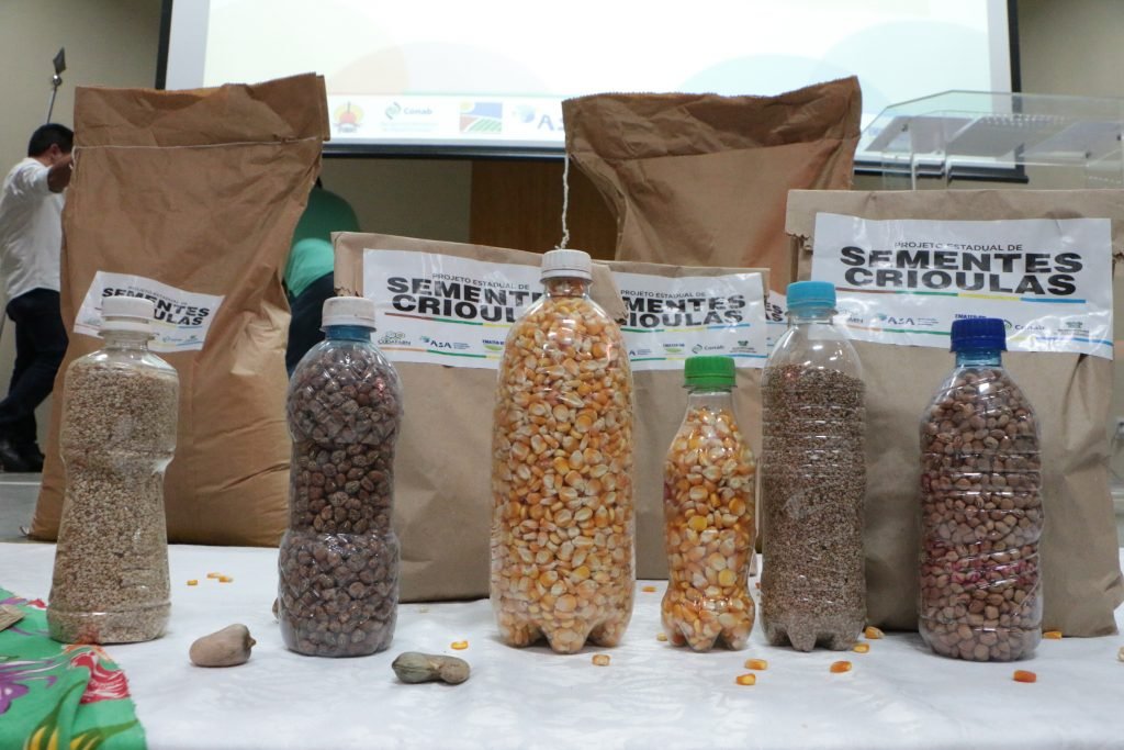 Governo do RN investirá cerca de R$ 1,2 milhão para compra de sementes crioulas