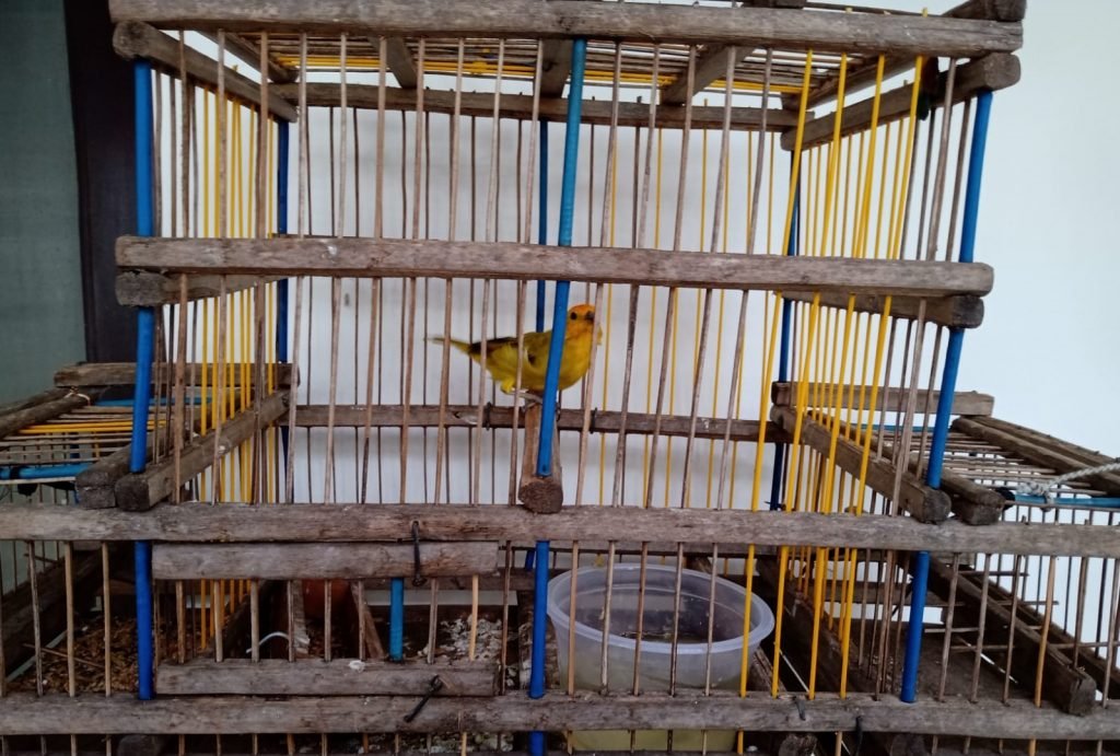 Bares e restaurantes são notificados por emissão de ruídos nas zonas Norte e Sul