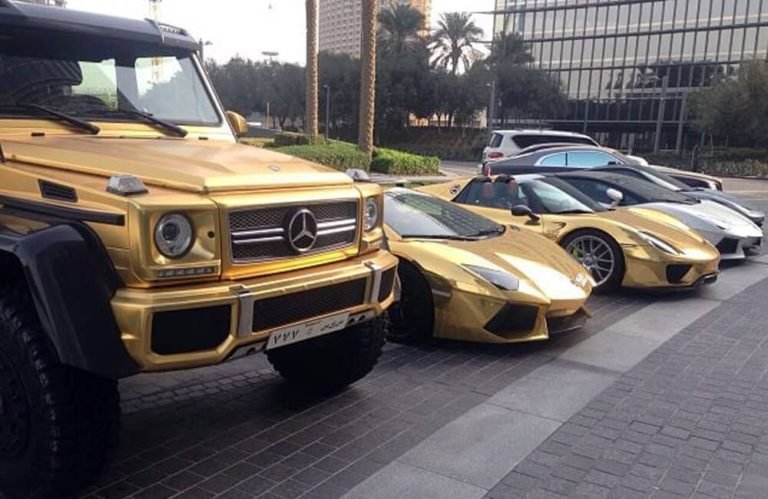 152 coisas caríssimas que só existem em Dubai (3)