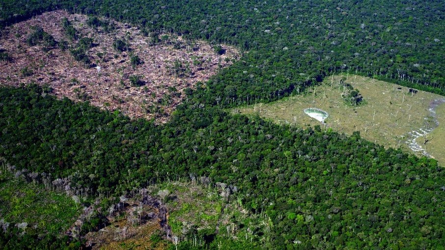 Amazônia perde 209 km² de floresta com desmatamento em fevereiro