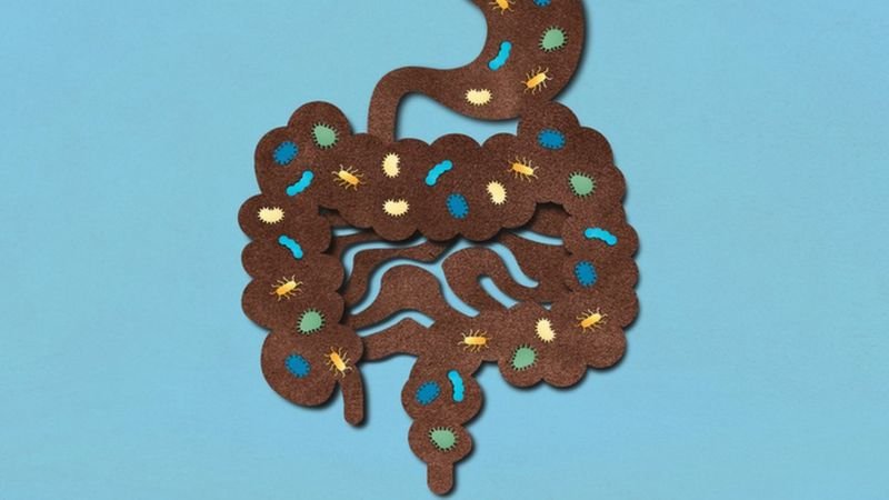 O ‘banco global de fezes’ que cientistas estão criando na Suíça