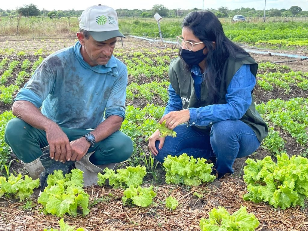 SENAR-RN abre credenciamento para técnicos e supervisores para atuação na ATeG