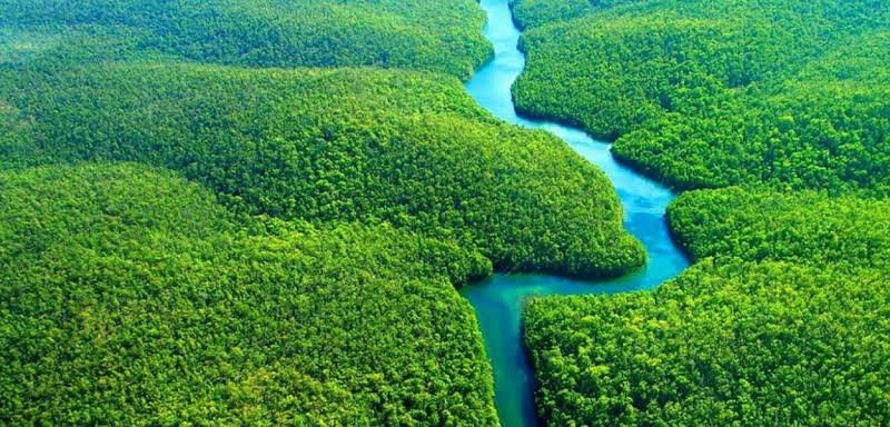 Ferrovia, estrada e petróleo na Amazônia: os projetos ‘antiambientais’ no governo Lula