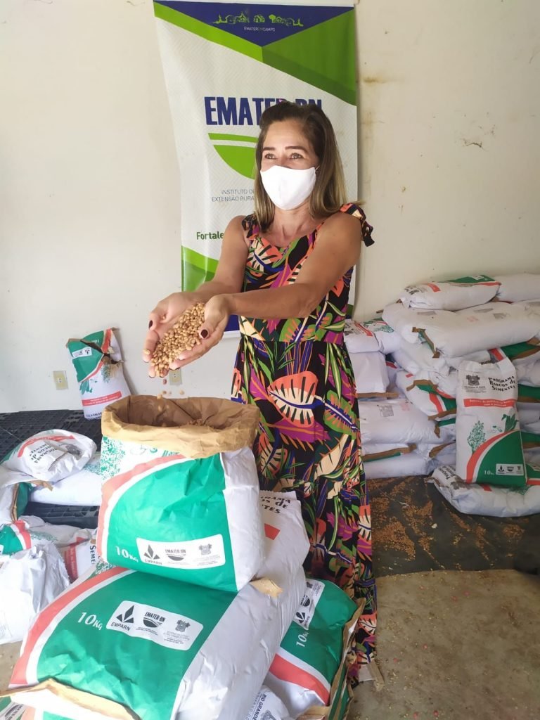 Governo do RN amplia investimentos para aquisição de sementes