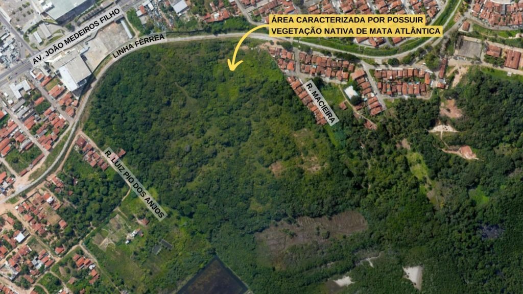MPRN move ação para impedir construções no bioma Mata Atlântica em Natal