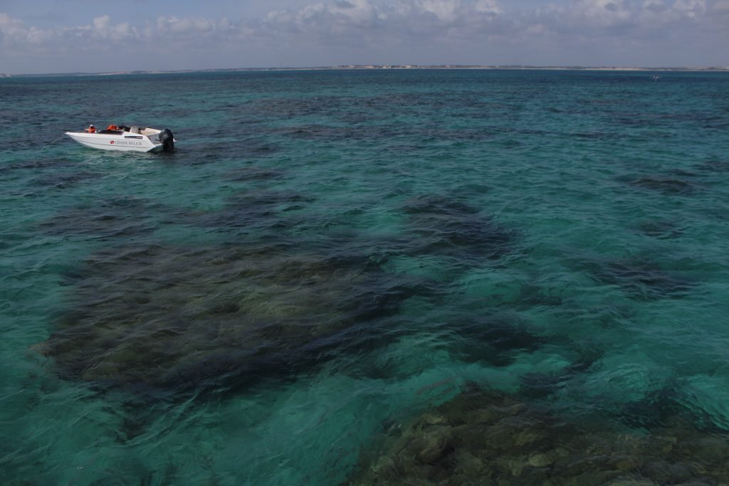 Área de Proteção Ambiental Recifes de Corais protege a riqueza marinha