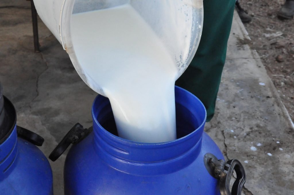 PAA Leite movimenta R$ 1,8 milhão no primeiro trimestre