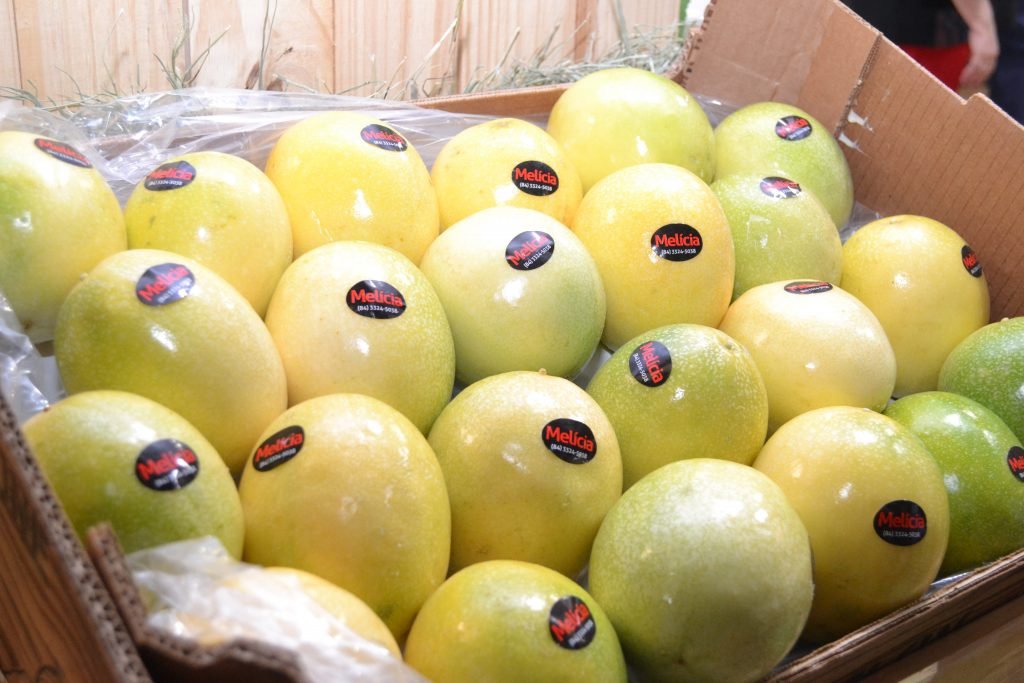 Expofruit 2023 apresentará as novidades voltadas para tecnologia e biotecnologia na fruticultura