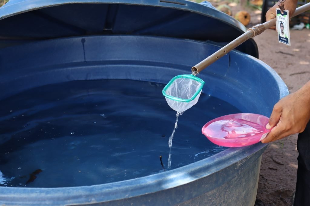 Prefeitura realiza mutirões de combate à dengue na zona urbana de Macaíba