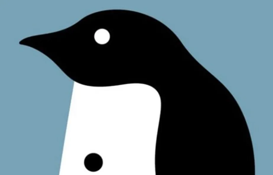 O que você vê? Ilusão de óptica viraliza nas redes