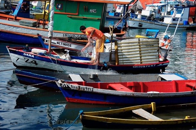 Pesquisadores da UFRN criam aplicativo de monitoramento de pesca