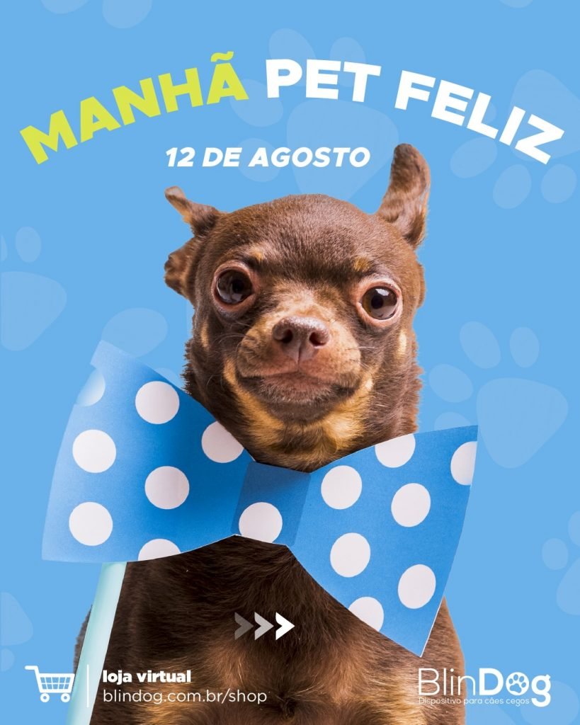 Manhã Pet Feliz traz inovações e diversão para pets e seus tutores
