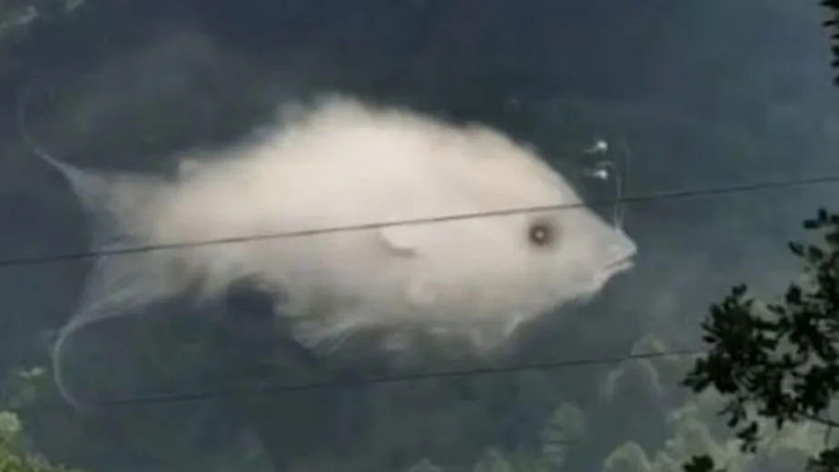 O que você vê primeiro? Resposta pode indicar como você é em relacionamentos amorosos