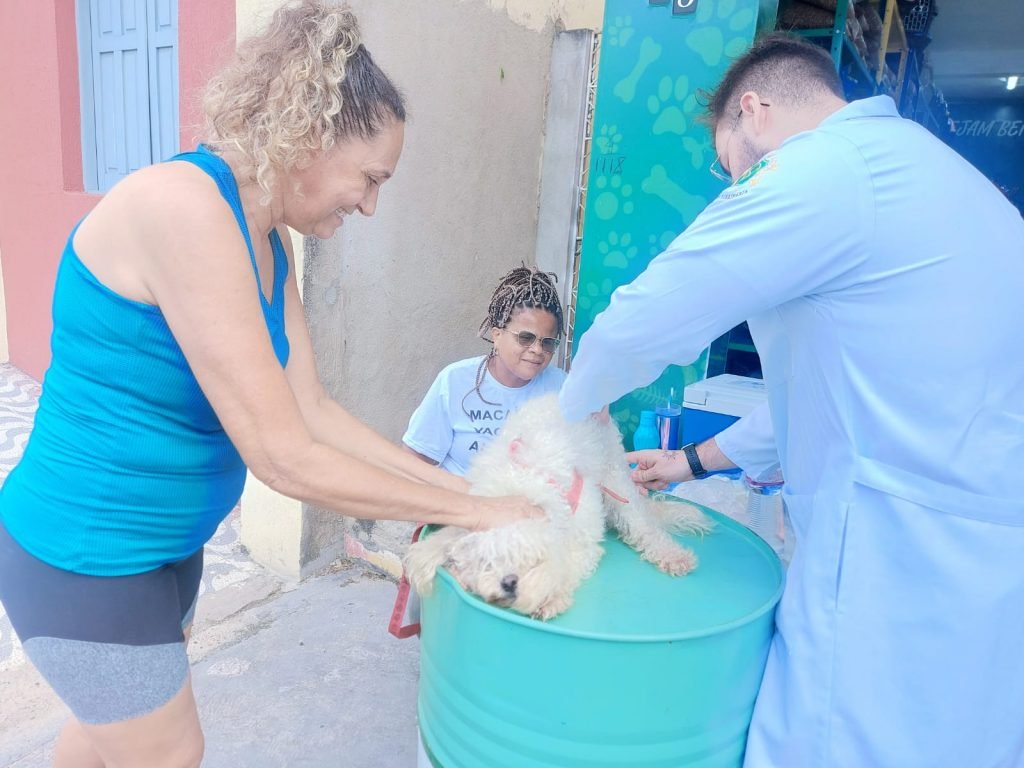 Macaíba imuniza mais de 1700 animais no Dia D de vacinação antirrábica