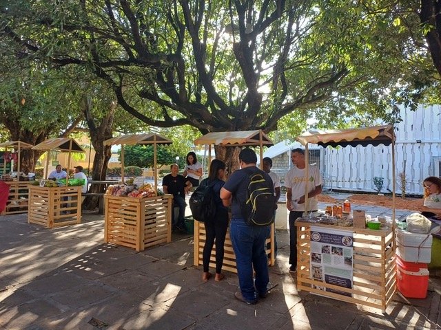 Mapeamento com 113 experiências agroecológicas em Natal é apresentado em seminário no IFRN