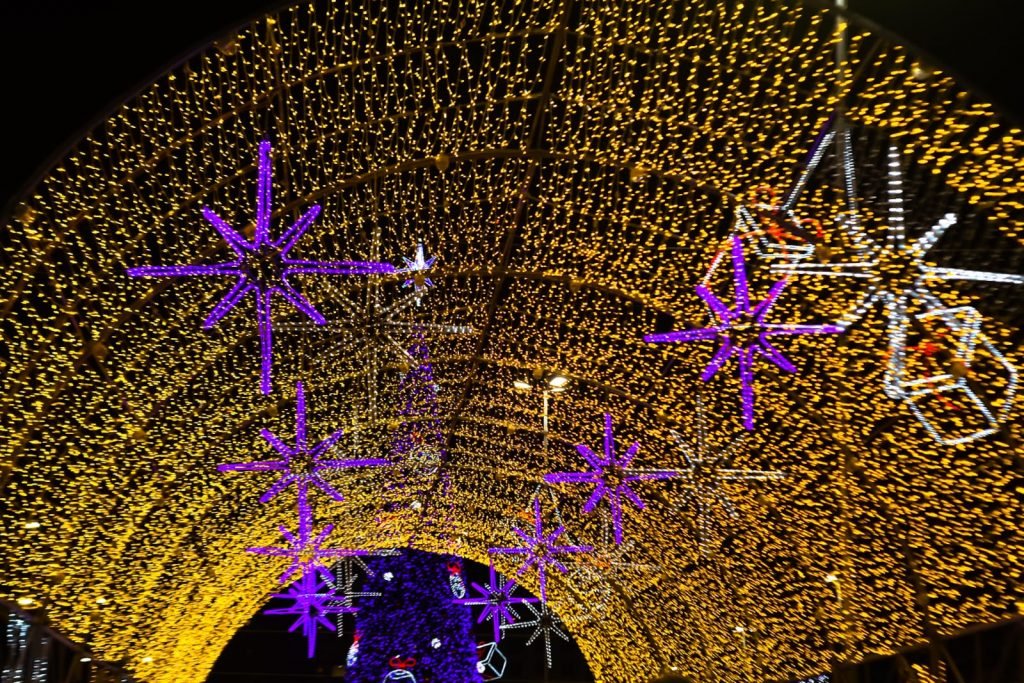 Árvore de Ponta Negra será ligada segunda feira