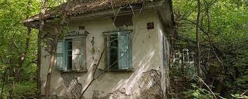 Qual espécie vai dominar a Terra quando a humanidade acabar?