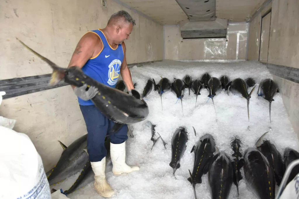 Reunião discutirá a suspensão da pesca do atum