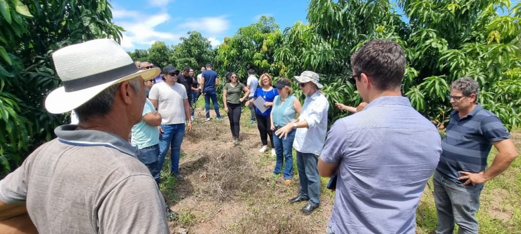 Missão do Banco Mundial visita projetos de inclusão produtiva