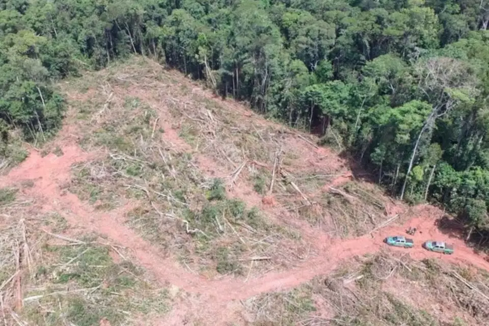 Pará continua a liderar o desmatamento no Brasil