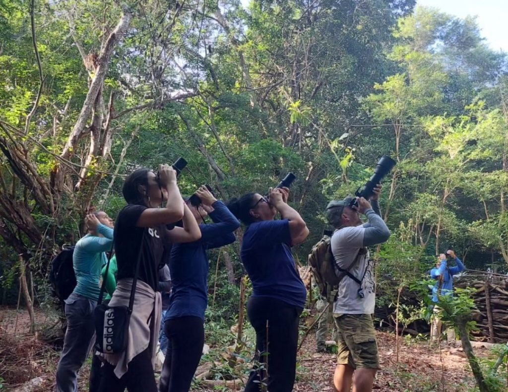 Carteira de Observador de Pássaros 2024 está disponível para aquisição