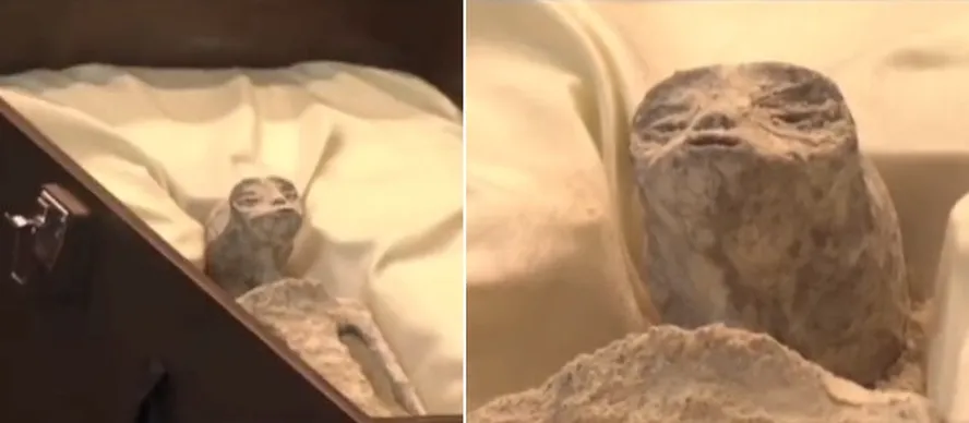 ‘Múmias de alienígenas’ achadas no Peru têm ‘três ovos’ que não fazem parte da cadeia evolutiva da Terra, diz especialista