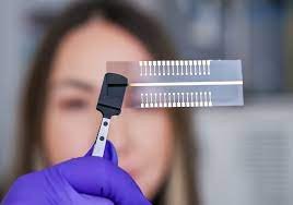 Novo chip identifica 32 doenças de uma vez; Prevenção